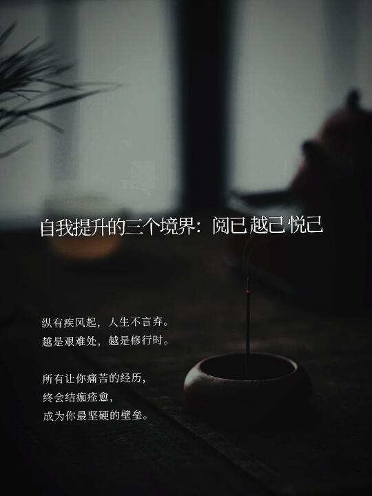 自我提升的三个境界：阅已 越己 悦己