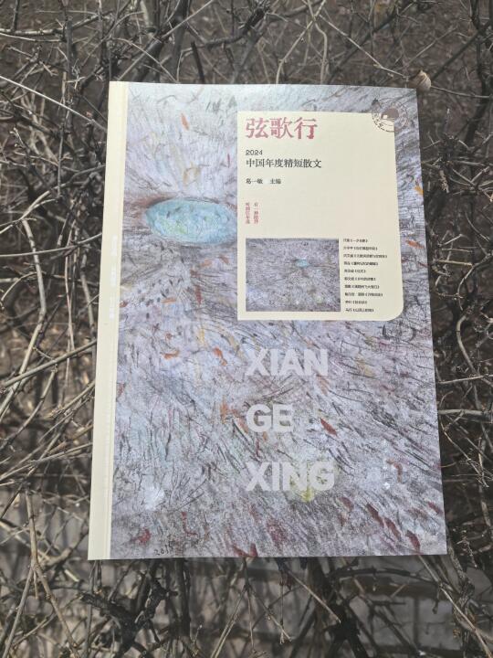 《弦歌行》:在文字中被治愈
