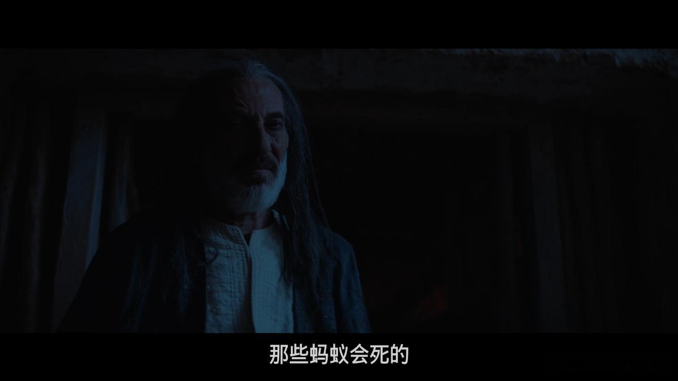 BD1080P蓝光中字版 ！沙漠战士 Desert Warrior (2025)