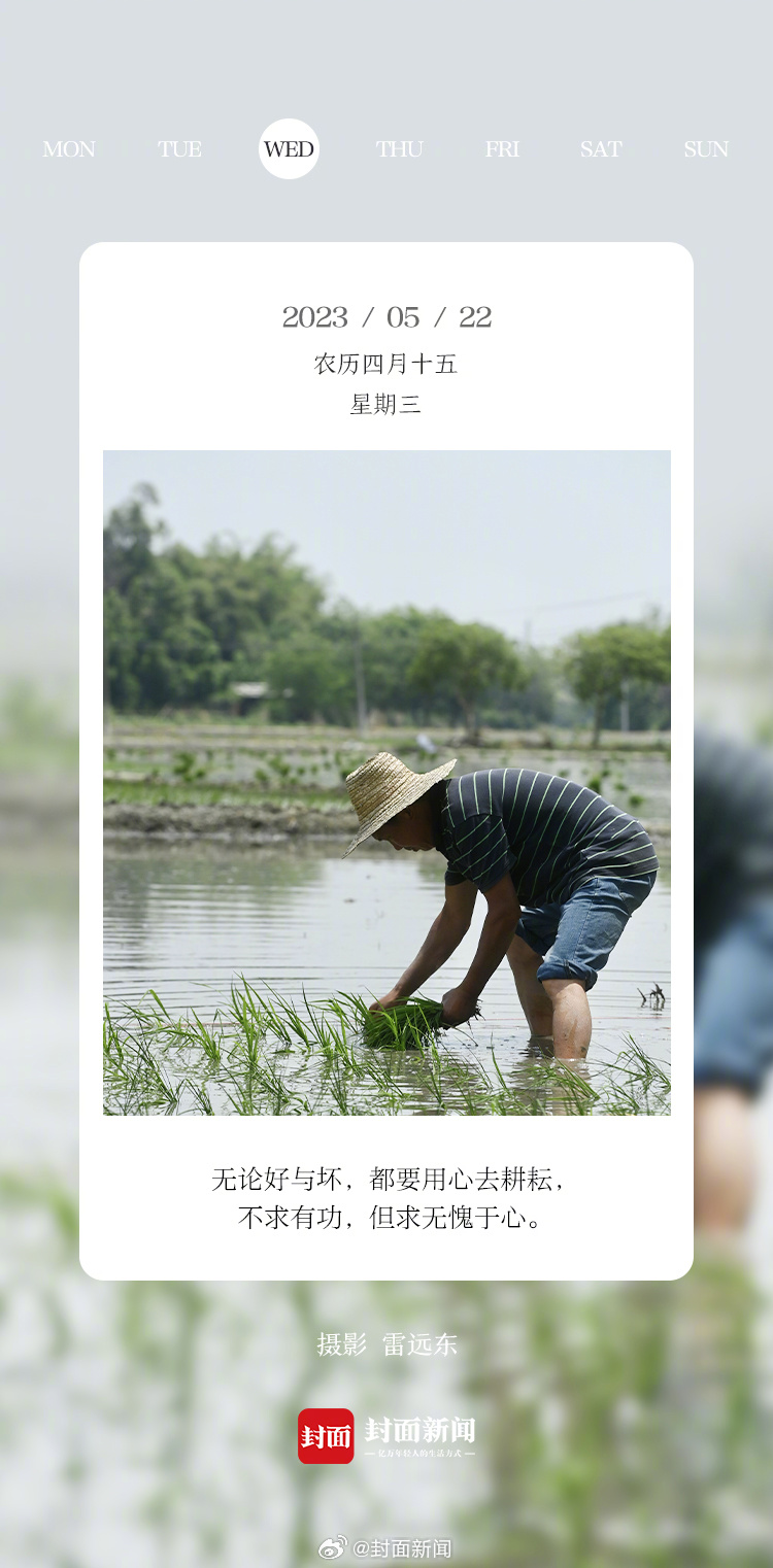 #小封日历#早安，周三啦！今天叫醒你的是_____？[发芽] ​​​