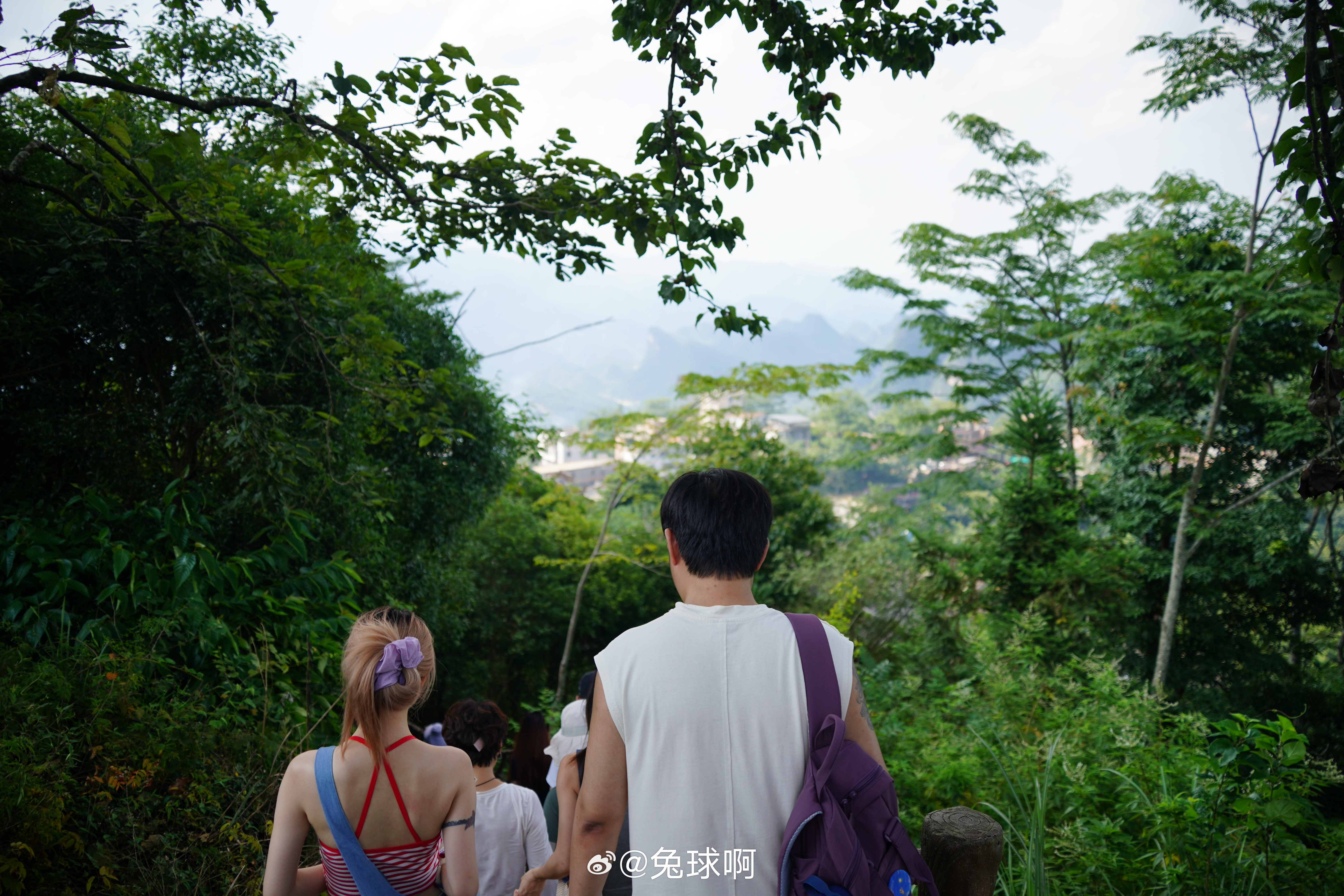 我美丽的背影 