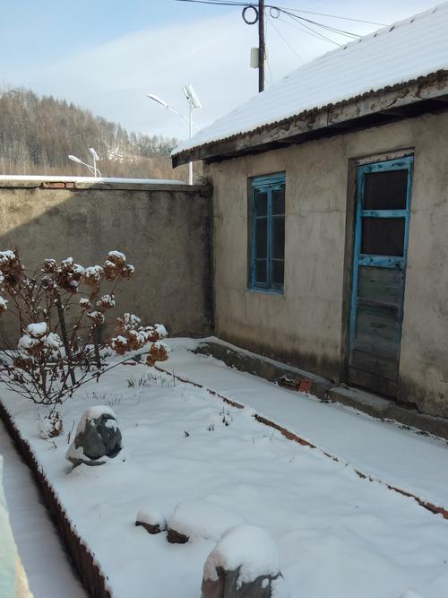 冬日生活打卡季冬日的乡村，雪落满了小院与屋顶，老旧的平房裹着银装，蓝漆门窗在白雪