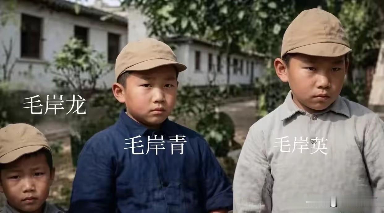 🍁岸英、岸青、岸龙在大同幼稚园的同框留影。1930年母亲杨开慧烈士牺牲后，虽有