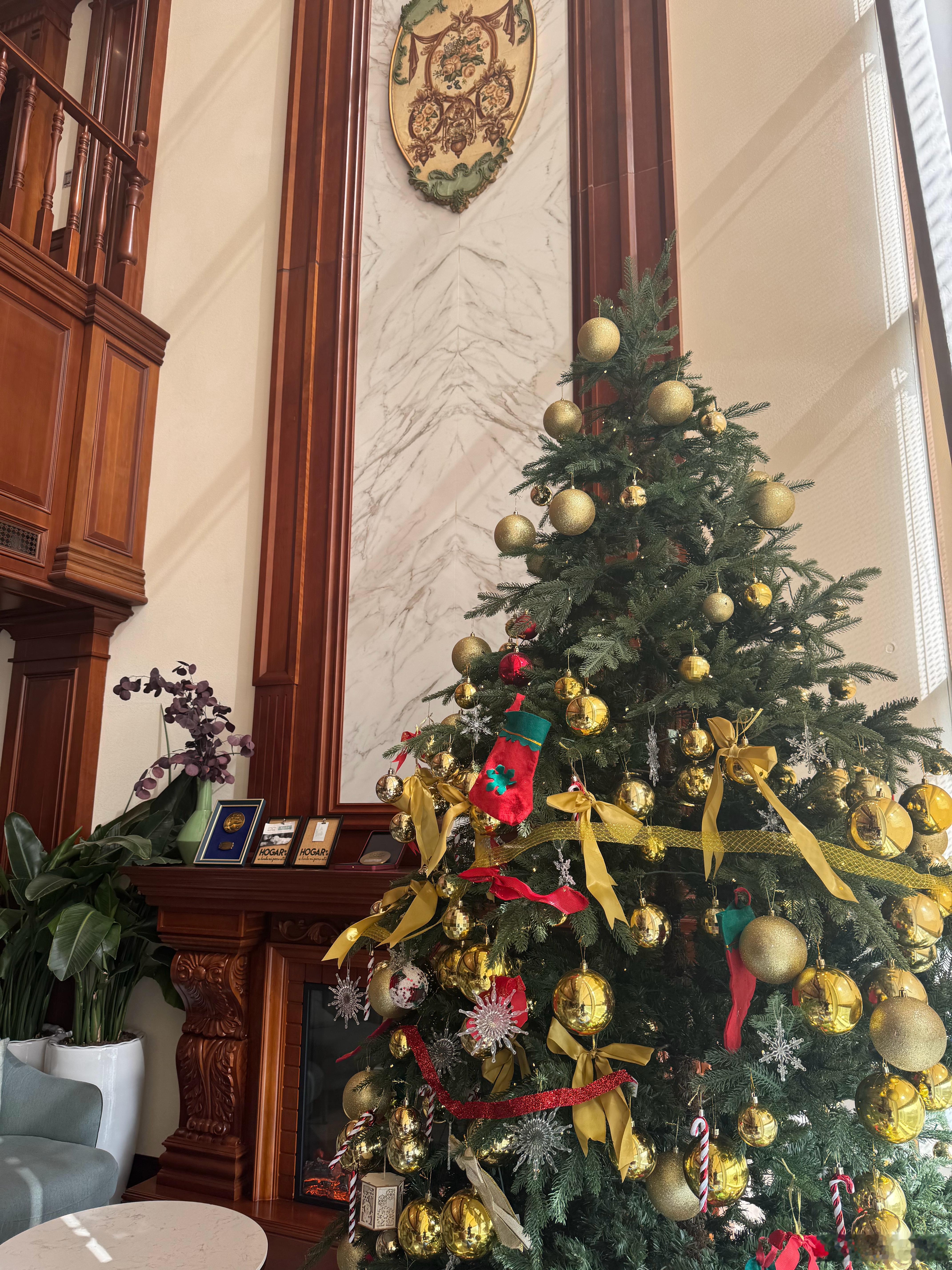 圣诞树一放，节日氛围就上来了 深圳