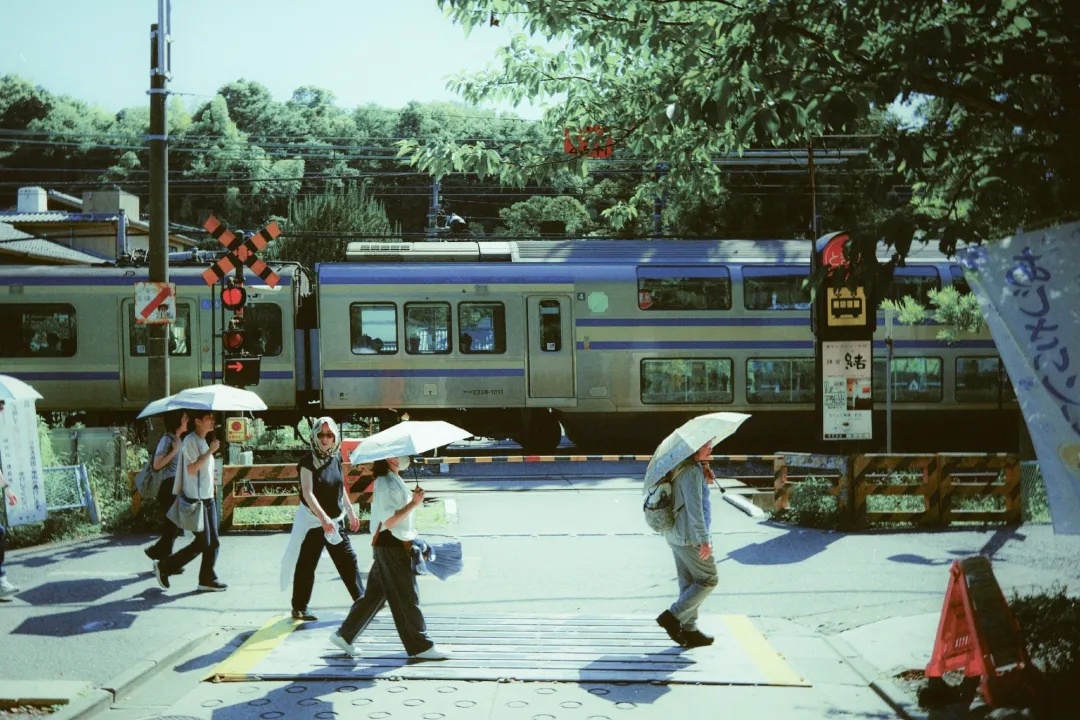 日系森系时光 | 背景图 