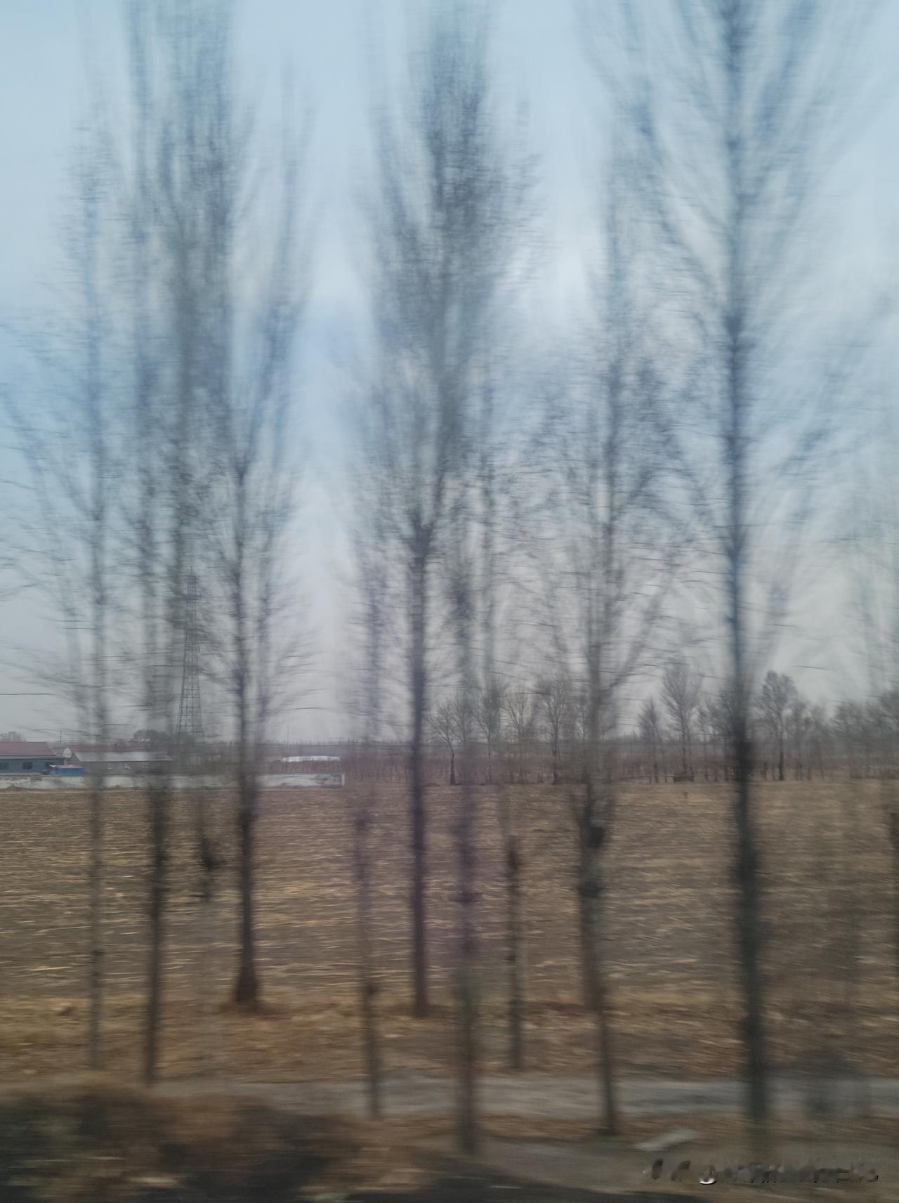 北师大教育学专业，是王牌专业，学科A+。可我儿子说，这个专业就业难。他坚决不读教