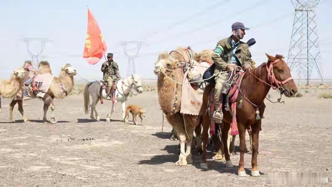 骆驼队抵达河南灵宝！现场如同过年，人山人海，河南人太热情了，队伍将于2026年1