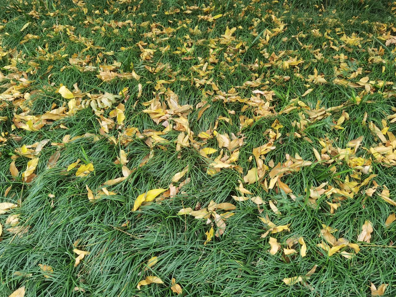 话题两则：这个，该如何称呼？

做女婿的舅舅，外甥该称呼其为“舅舅”，还是“姨夫