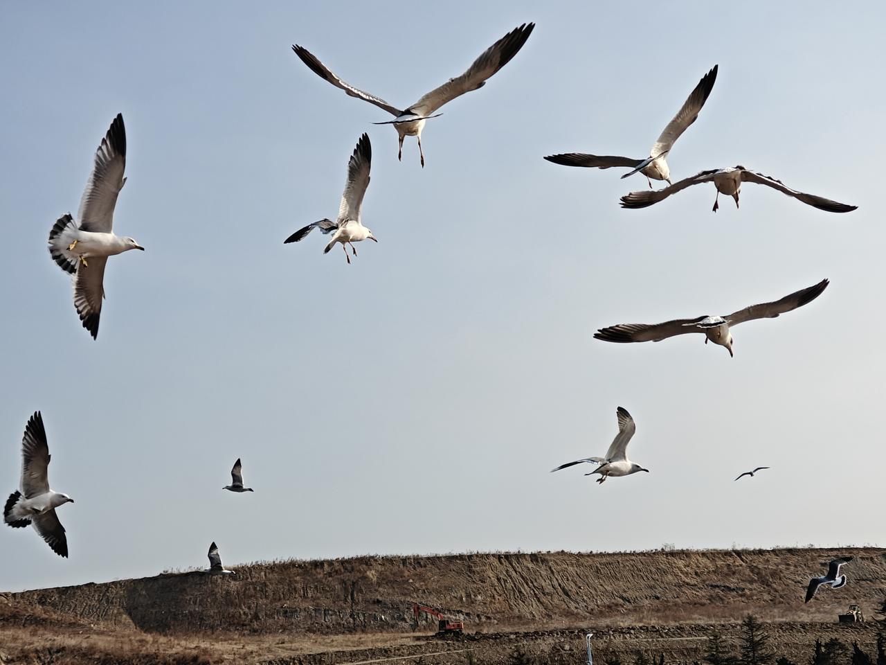 高市早苗在中东战火正急的时候访问美国，有什么深意？其一，美国希望盟友支持而不得，