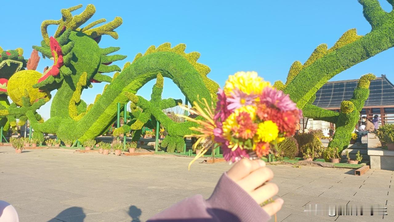 明天五一了，又放假了，大家又开始准备旅游了，你们这几天要去哪里？

我是哪里也不