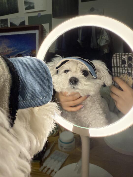 🐶我妈给我买了帽子