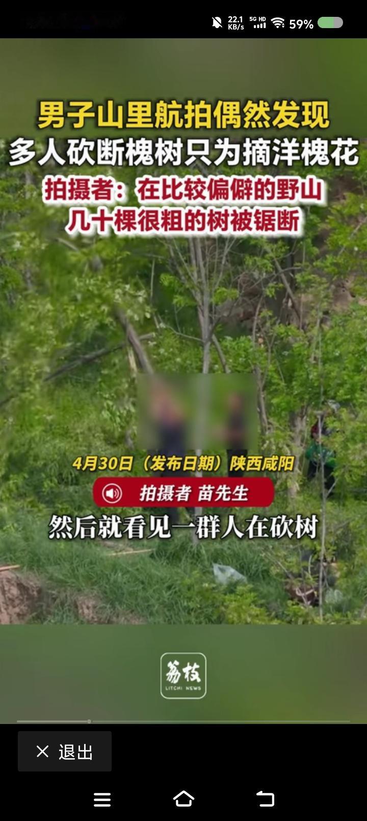 什么人砍树摘洋槐花？——
网上视频：一男子去山中游玩，发现有些人砍树，为了摘洋槐