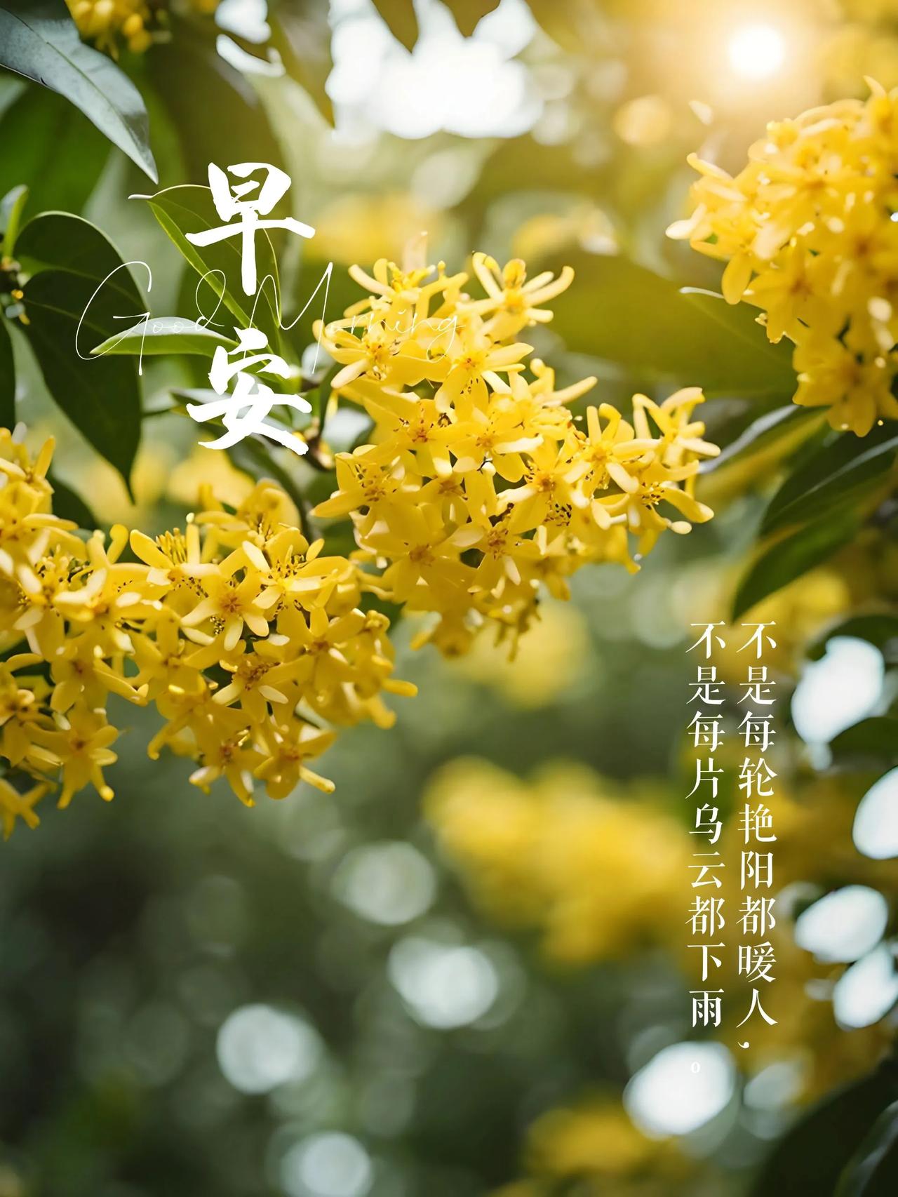 #分享一下你随手拍的清晨#
2024 年 10 月 6 日，新的一天，新的开始。