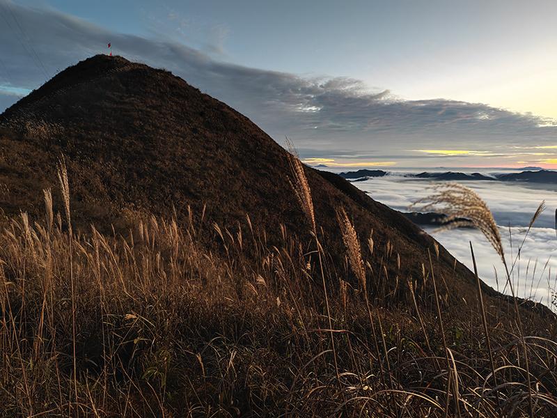 读《近思录》之2.89.4

明道先生曰：《订顽》之言，极醇无杂，秦汉以来学者所