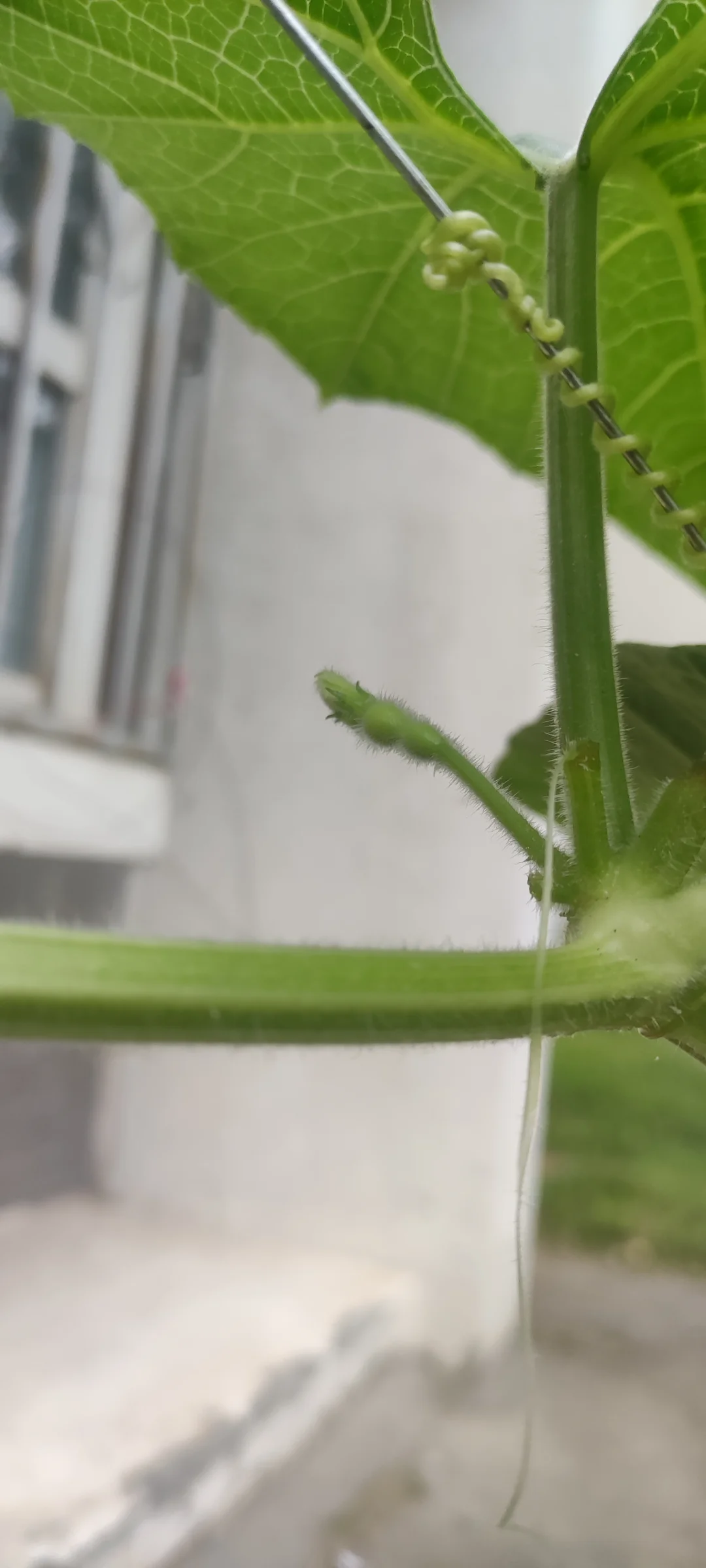 从雇佣制！到合伙人！未来的工作模式