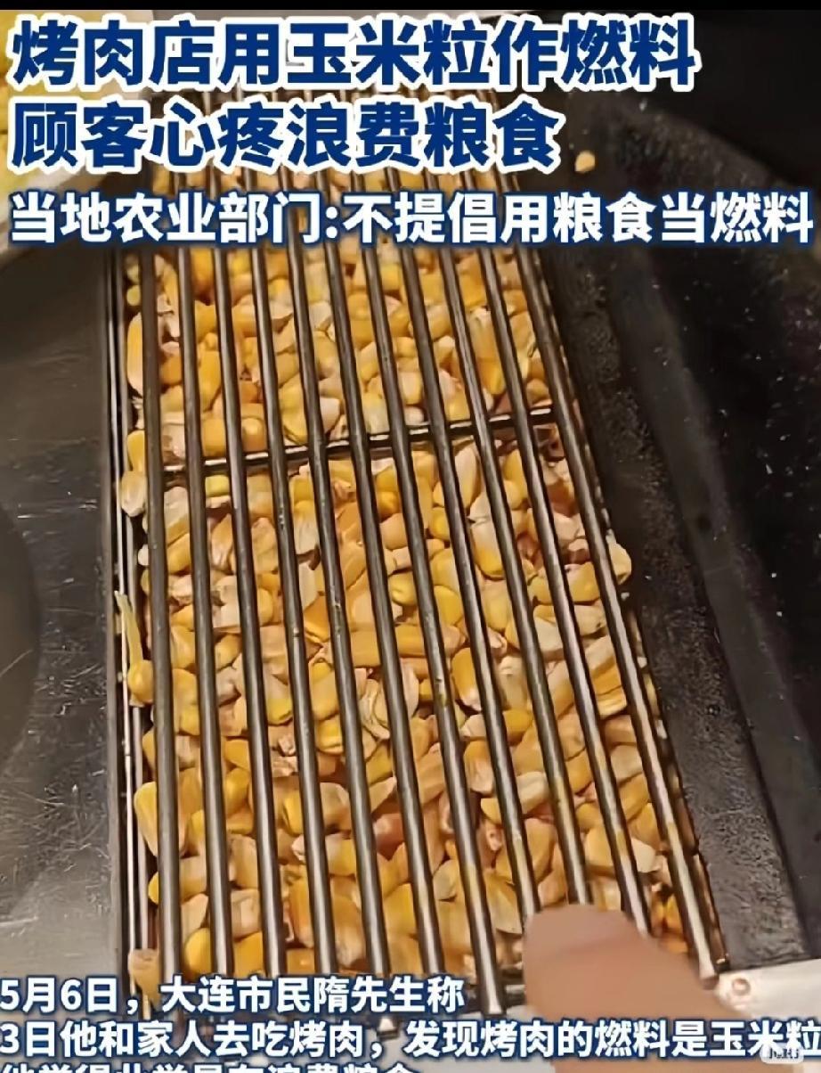 天呐！烤肉店竟用玉米当燃料，这究竟是创新还是浪费？

近日，山东烟台一家烤肉店因