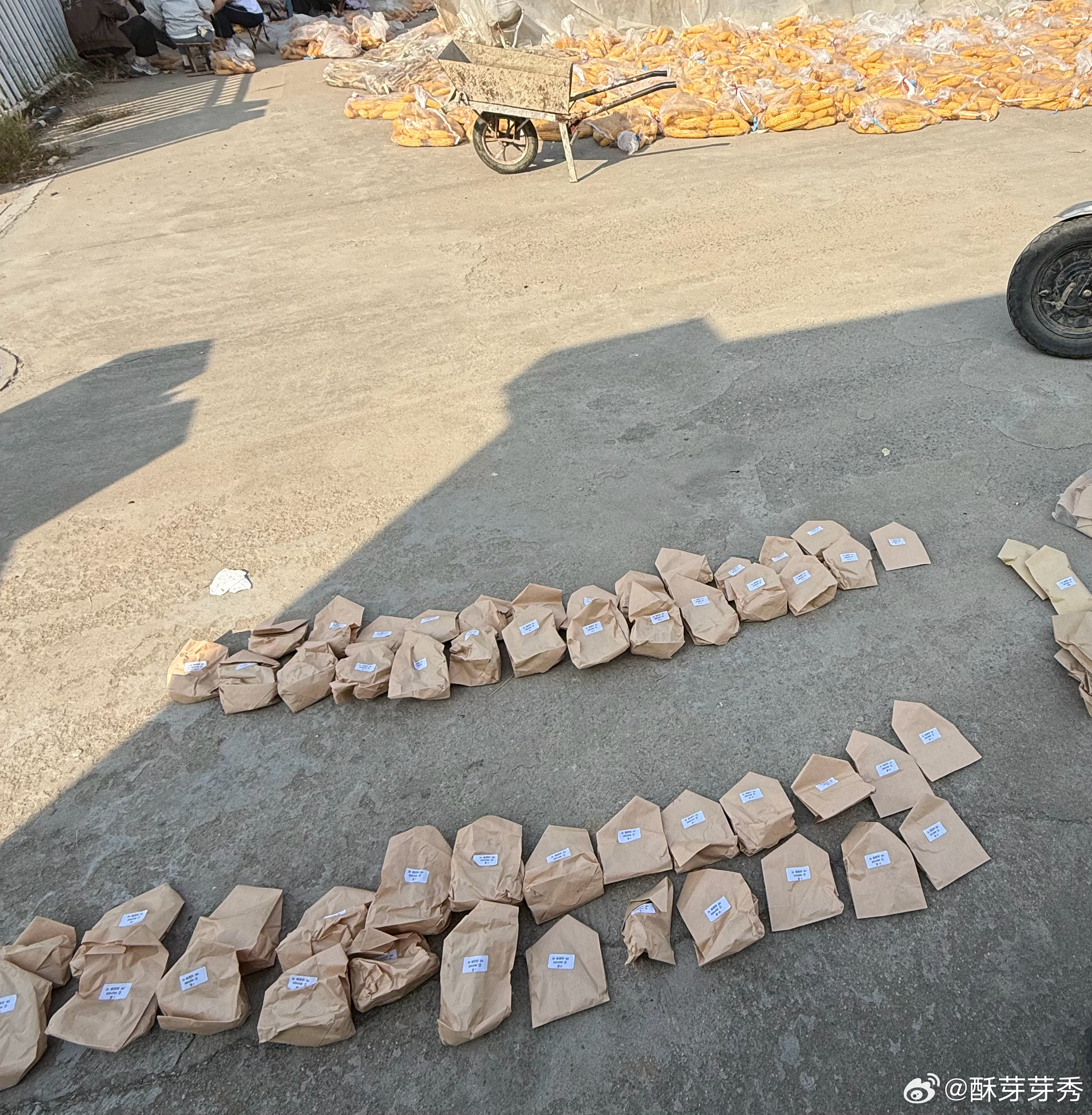 累晕[单身狗] ​​​