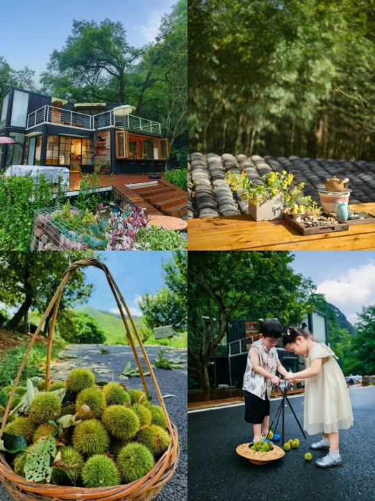 朋友说这是我第二个家，一年住6次不会腻