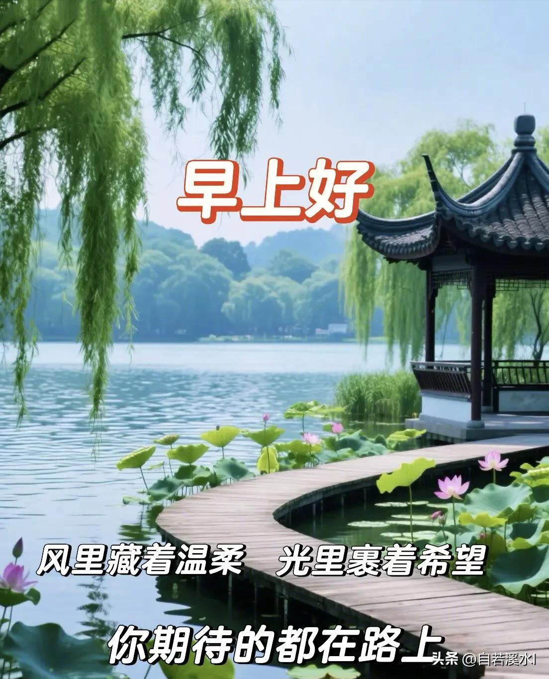 早安，新的一天，愿阳光铺满你的前路，所有温柔与好运都如期而至。