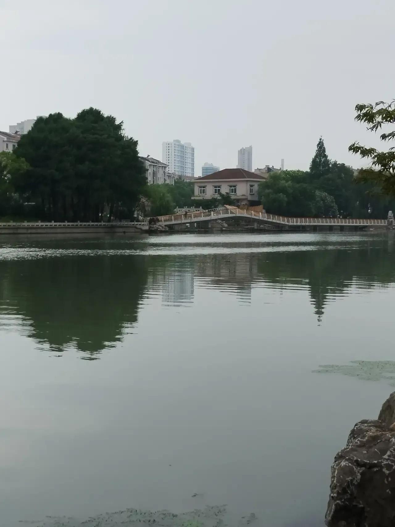 #无锡头条# 
短暂的秋游2
   当我俩沿着一条小路向前走，这里的绿荫充足，挺