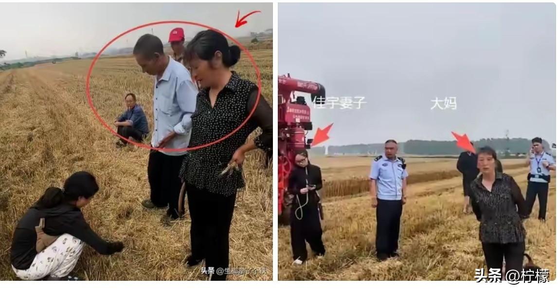看了襄阳那个收麦子的视频，我这湖北人，真是臊得脸都红到脖子根了。
 
人家农机手
