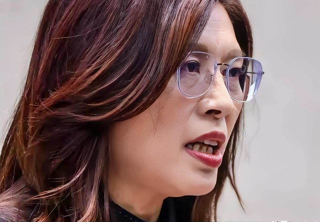 郑丽文访陆时说，必须坚持“九二共识”，反对“台独”；她还曾多次表示，两岸同胞都是