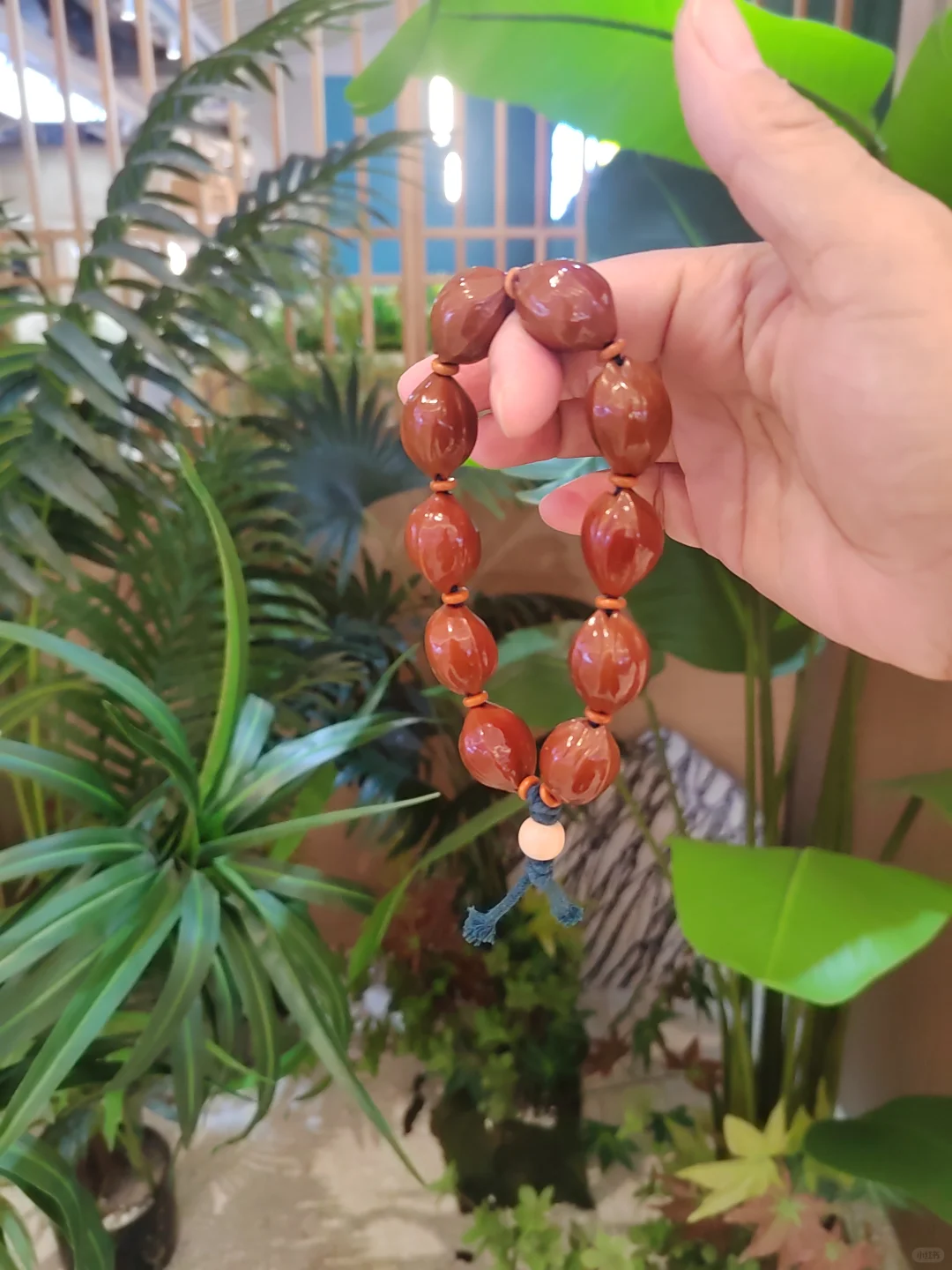 生活里满满都是你
