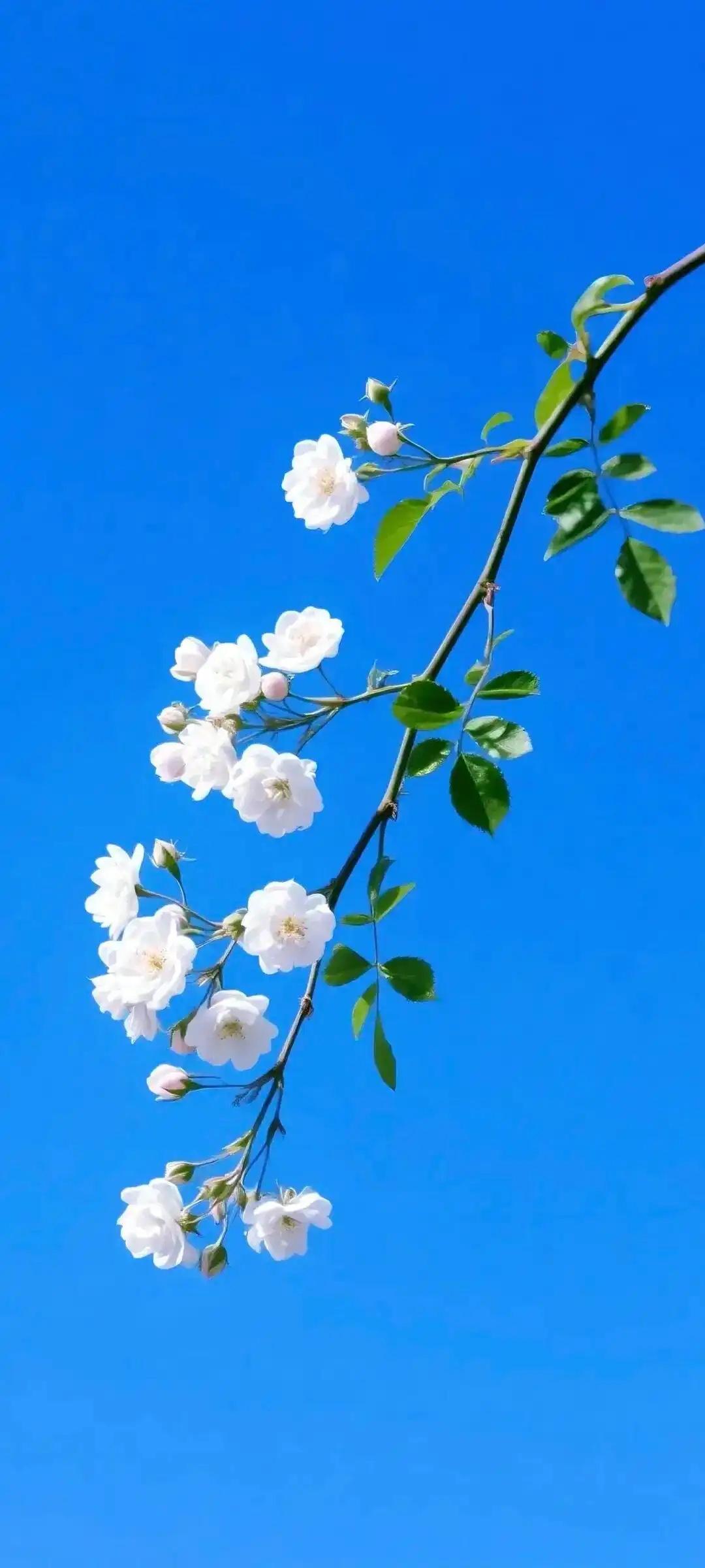 上联：人生聚散皆如梦，
下联：岁月离合尽似风。
下联：事业兴衰都似诗。