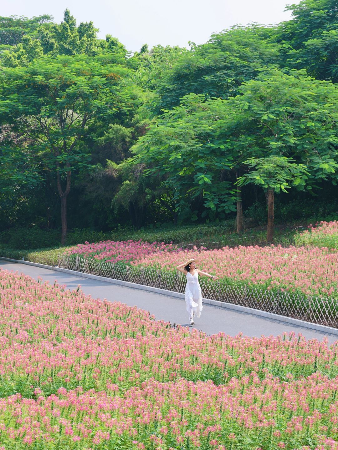 怎么回事?这是广州的秋天?