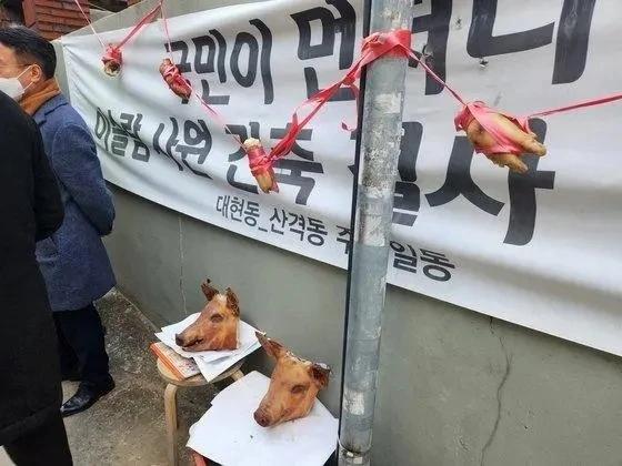 历经6年的拉锯战，韩国人最后用烤猪头抵制了清真寺的修建。

事情是这样的，202
