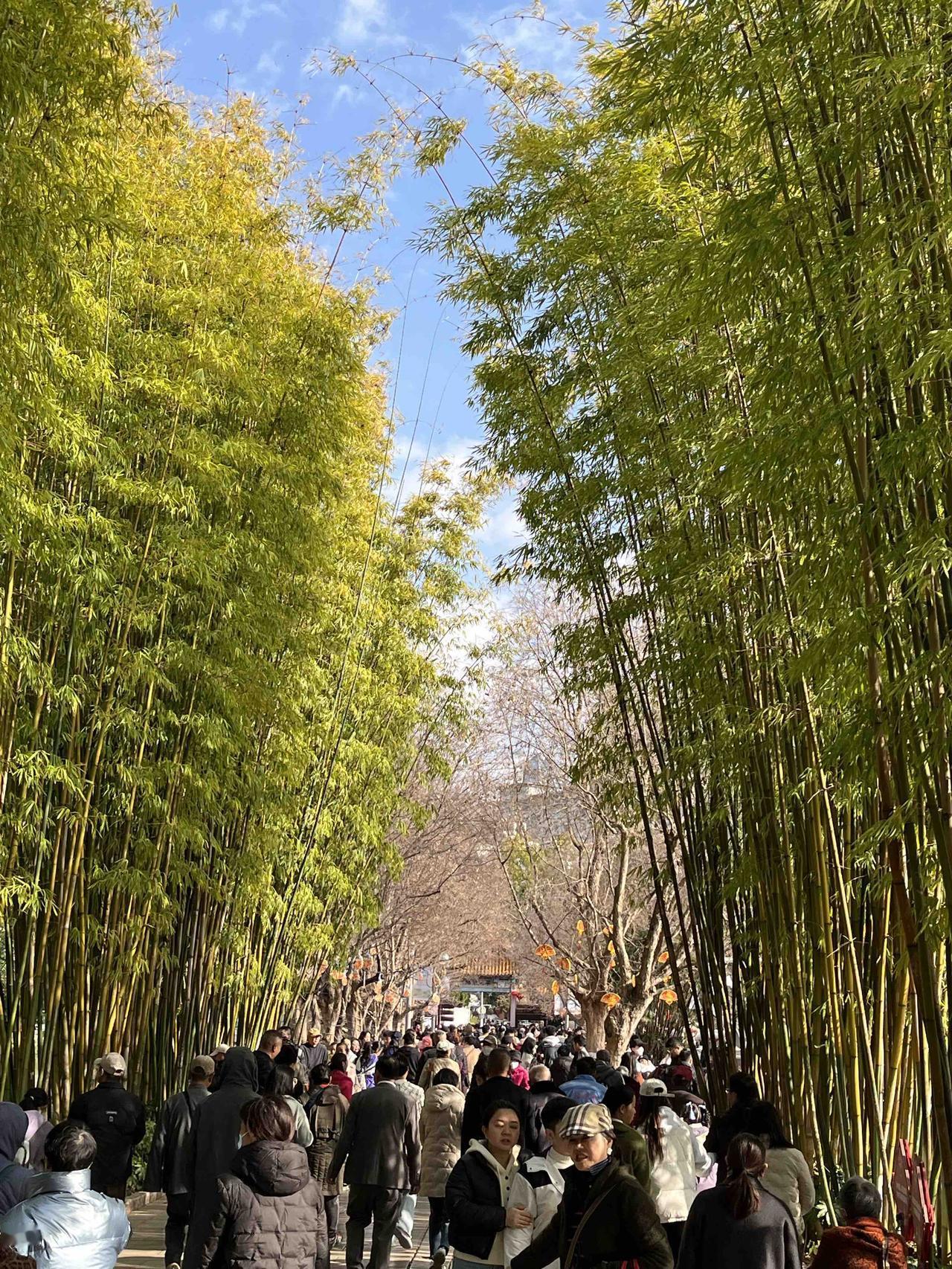人生必去20大最美秋色
9 - 11月，错过等一年

额济纳旗
(内蒙阿拉善)