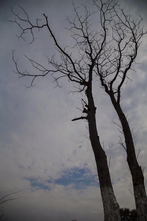 他俩是同事，搭伙共事，这两人我都熟。感觉他俩人还可以，可惜合不来，为了争一把手的