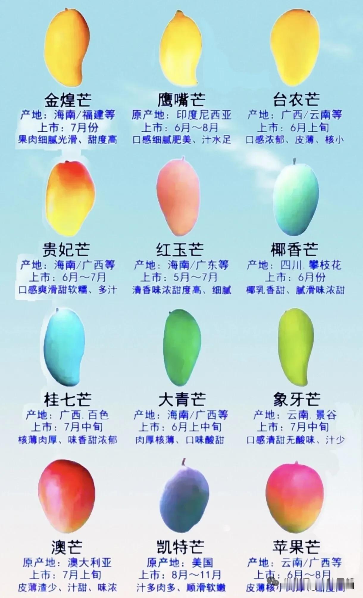 芒果大赏：12种美味芒果，哪种是你的最爱？🥭💕