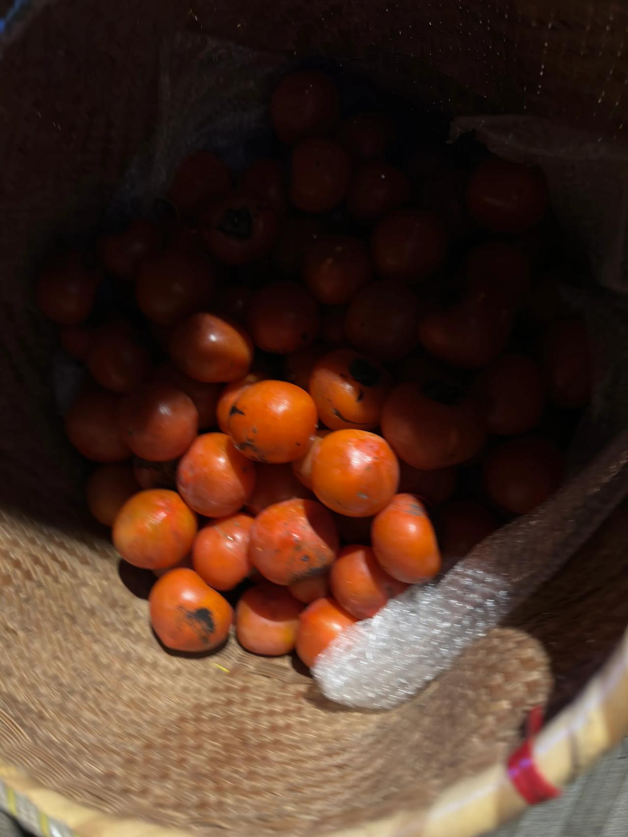 广场的一角，路灯下，又见挑着箩筐卖柿子的老头，这柿子五元钱一斤，色泽鲜红，个儿匀