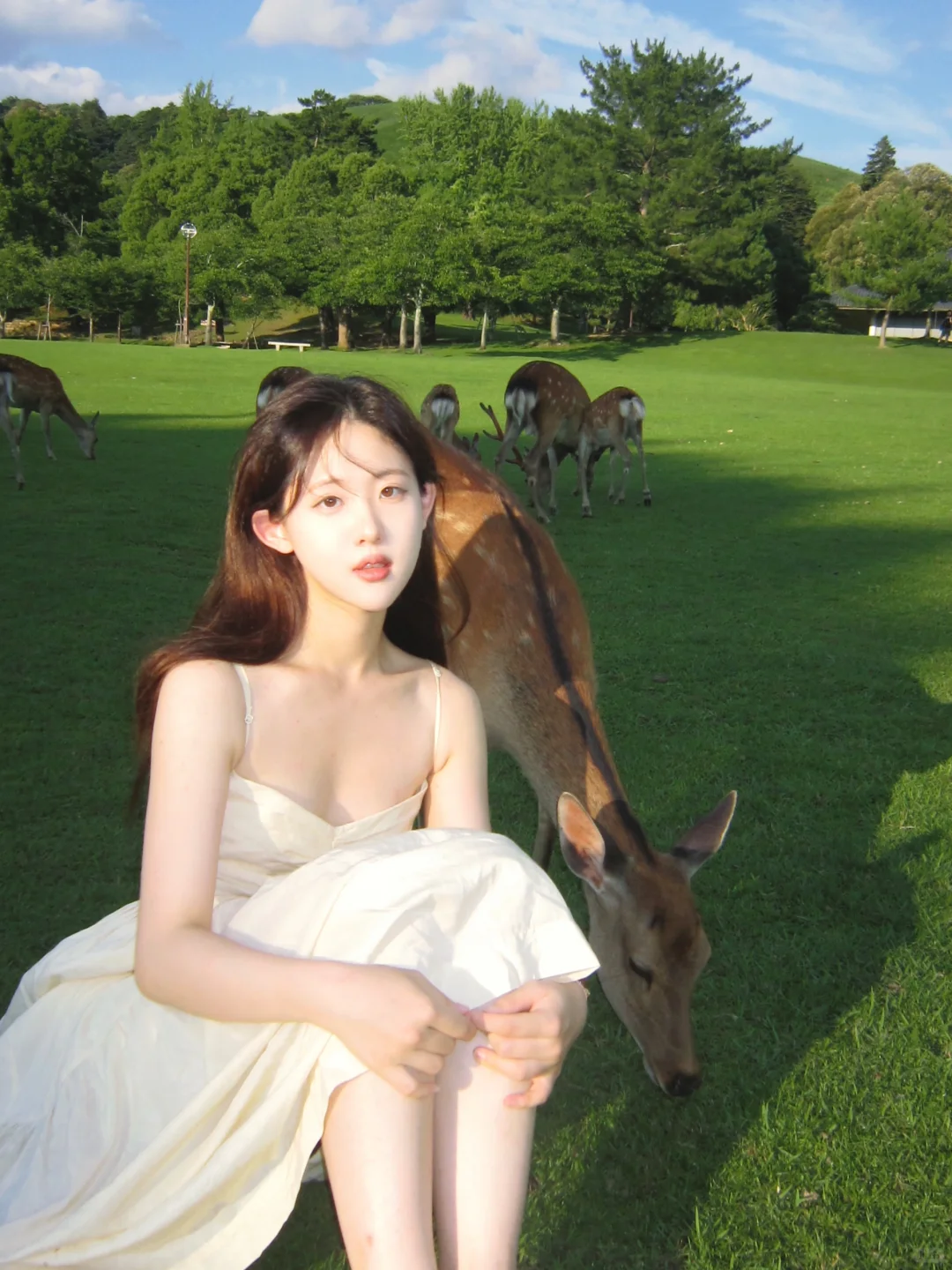 Nara | 我也和小鹿合影啦
