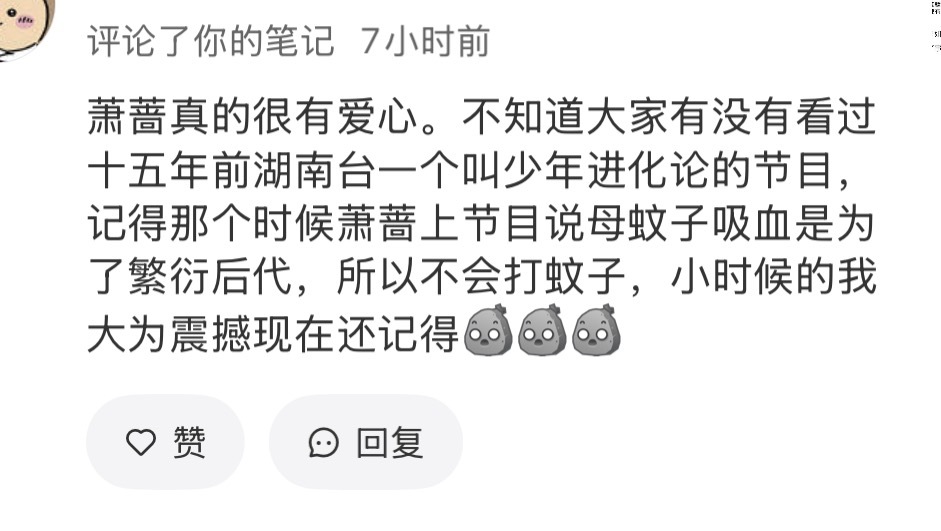 像萧蔷这种因为担心是母蚊子 从而决定不拍死一只蚊子的人而言 所有的善行都有了出口