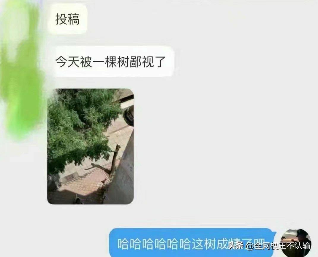 周…周树人？
