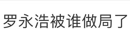 罗永浩被谁做局了Ber,你们把罗永浩当哪国人整啊，罗永浩到底被谁做局了！和友人私