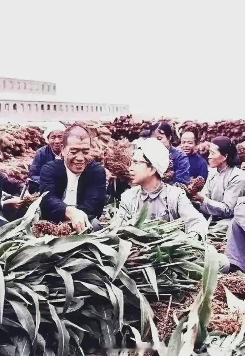 那时，她来到大寨，与陈永贵同志一起到农田参加生产队劳动… ​​​
