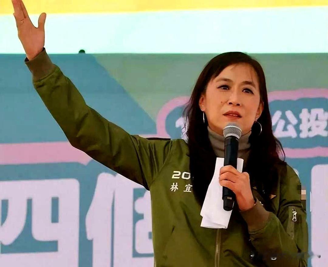 台独提案2天夭折！美国亮"弃台"，"疑美"成岛内共识
 
1月3日，民进党立委林