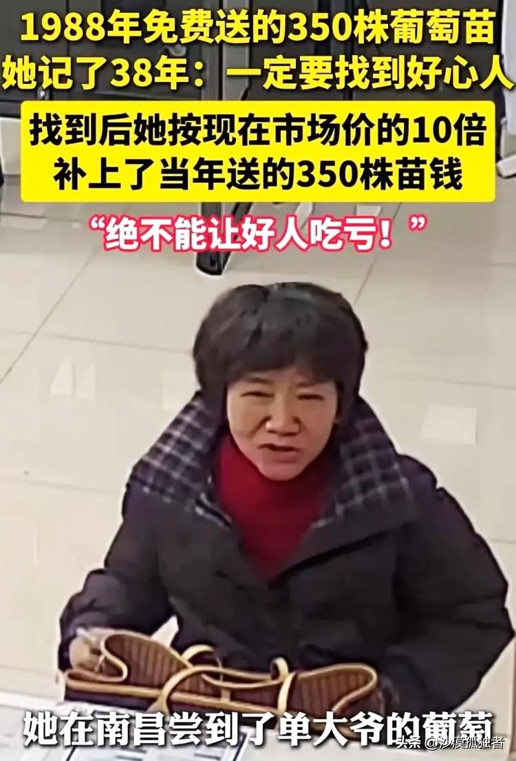 “绝不能让好人吃亏”！1988年，女子家里穷的揭不开锅，有人免费送她350株葡萄