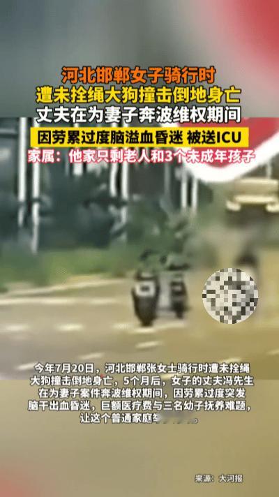 一条未拴绳的狗，毁了一个家……
 
河北邯郸，7月20日的街头，一场意外猝不及防