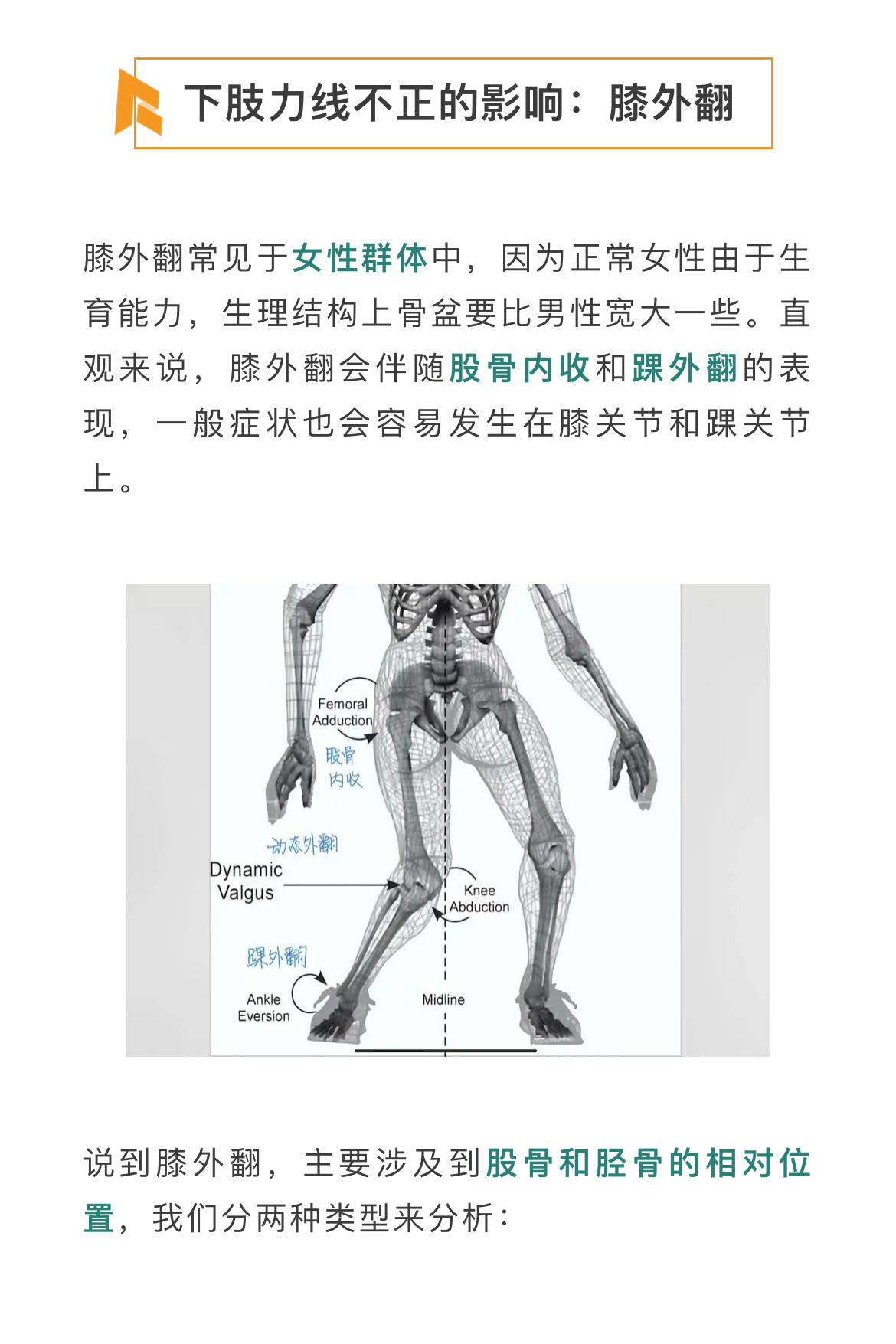 下肢力线 夏天到了，很多人又开始纠结腿型的问题。不管是X型腿还是O型腿，从康复的