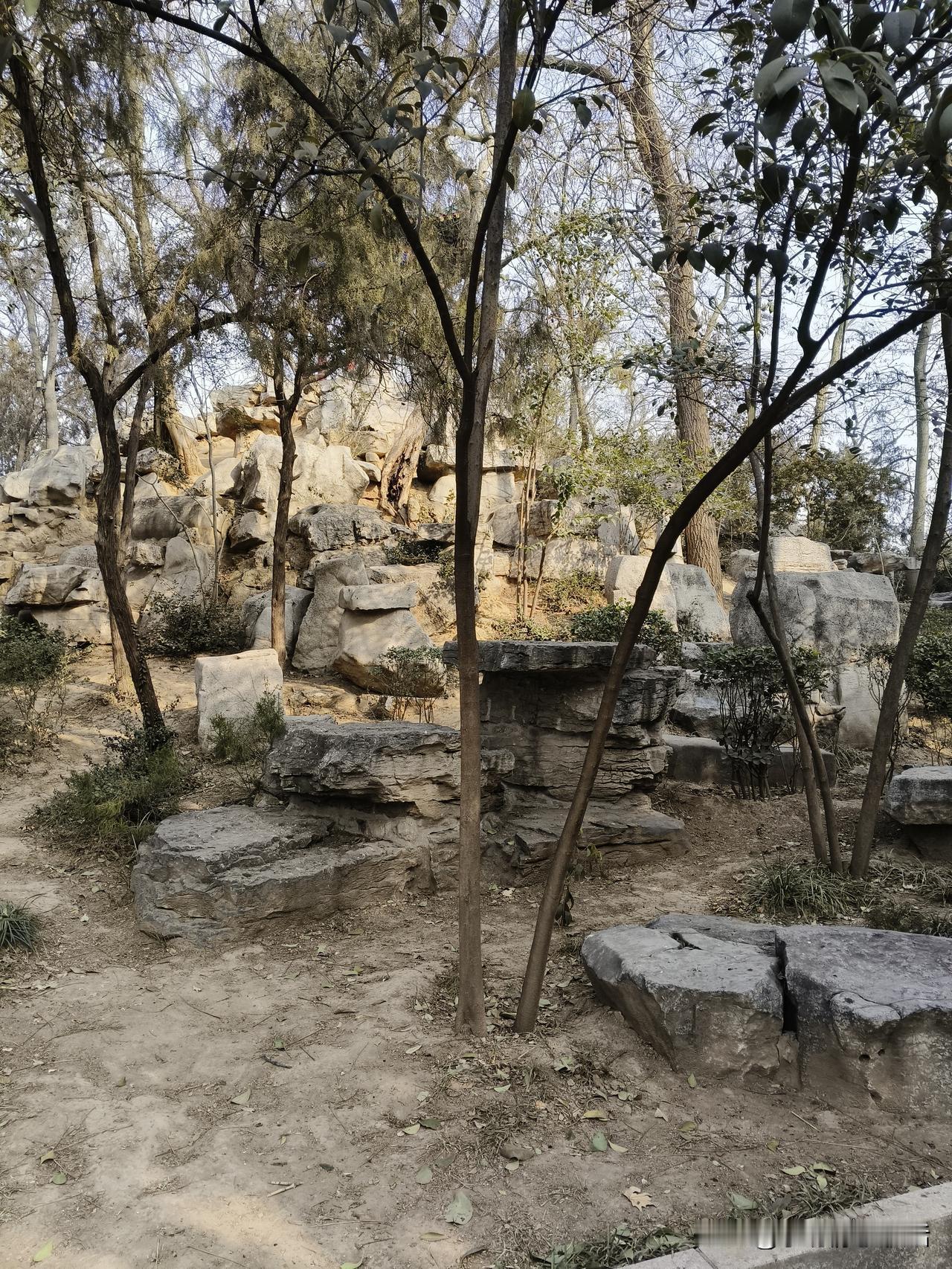 记录我的2026 2026年的雪，就像一场浪漫的邀约。雪花纷纷扬扬，给整个世界裹