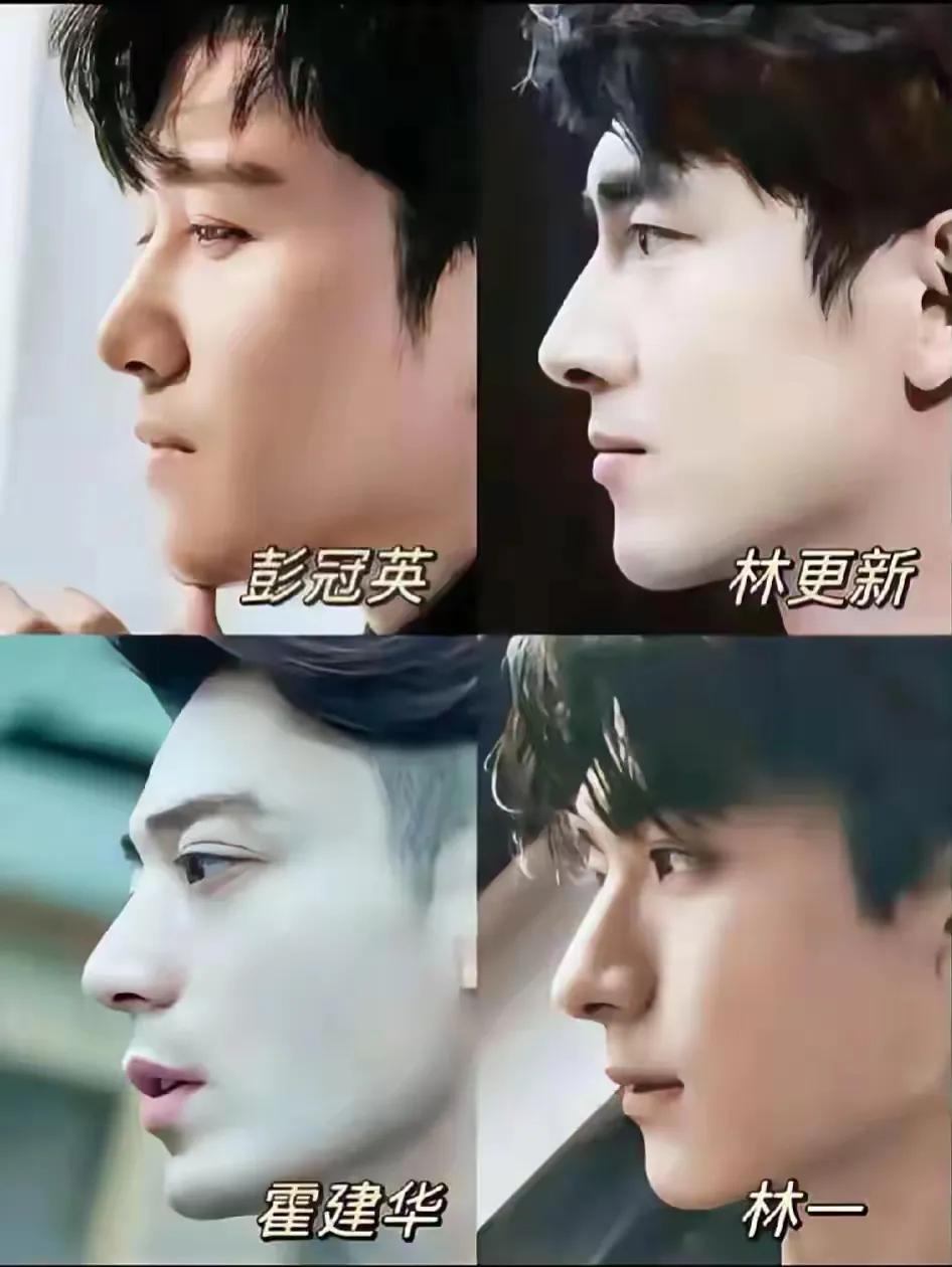 《玫瑰的故事》四个男主角侧颜都很帅！

单独看的话，“果冻”彭冠英好像不怎么突出
