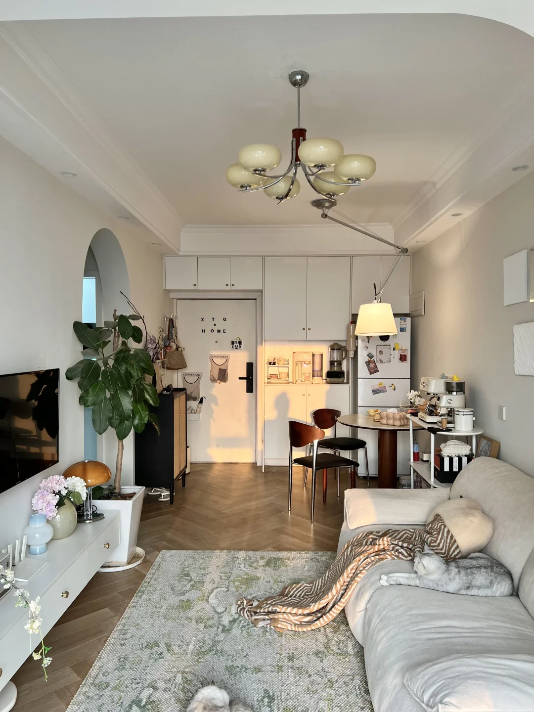 一个人住37平，真的越住越舒服～