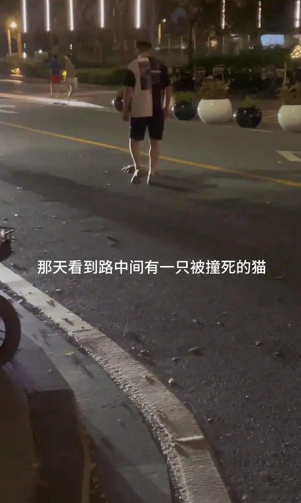 #张馨予何捷路遇被撞猫咪#她跟老公出门散步，夫妻俩遇到被汽车撞si的小猫咪，张馨