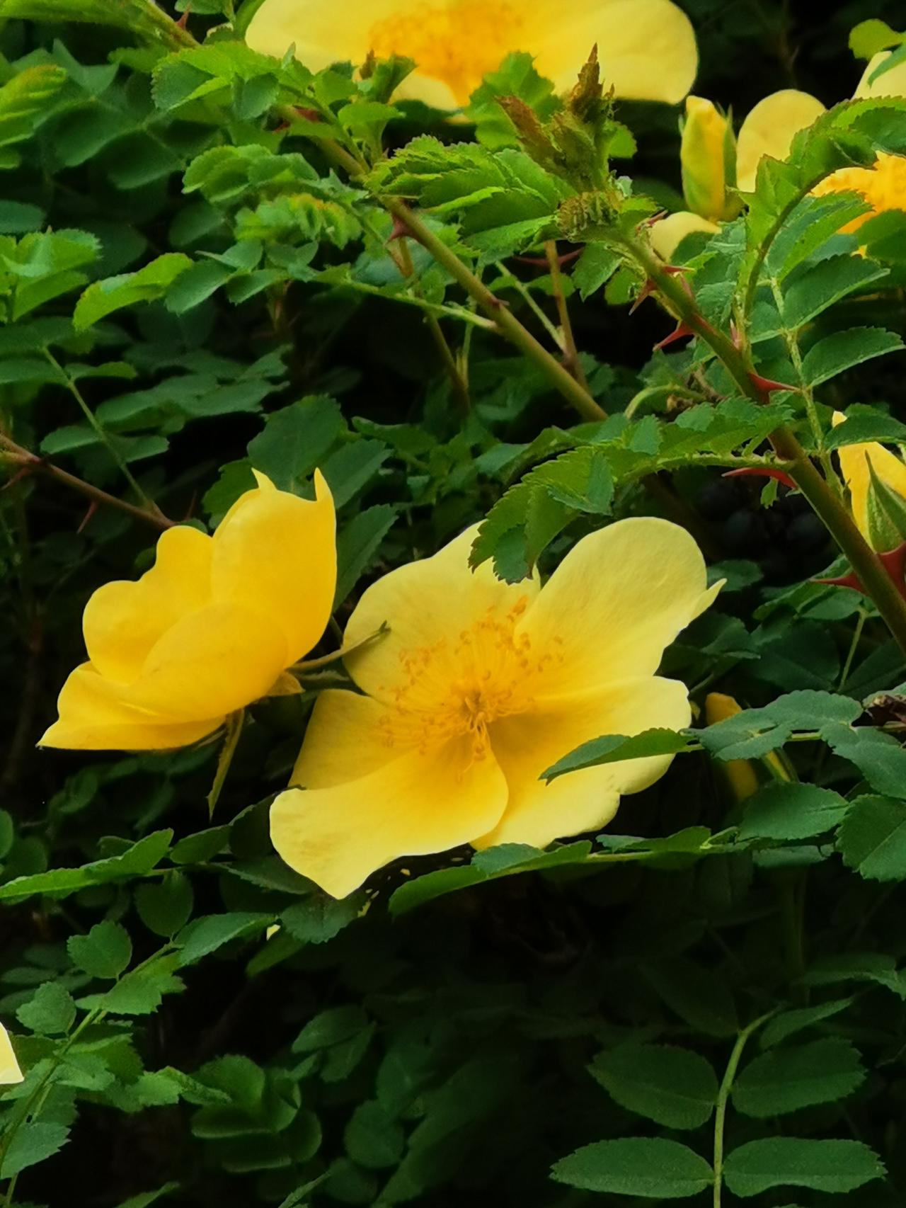 春景烂漫晒图笔记大赛 春日赏花照 春天的美照 春天治愈瞬间 

春天真的是个超棒