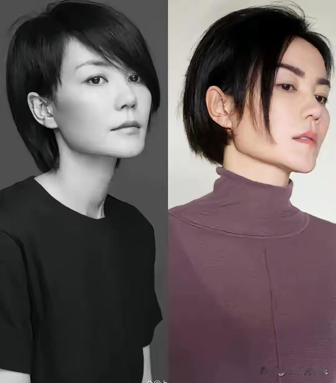 谁更美？王菲和张柏芝根本不是一个路子！

张柏芝是那种一眼惊艳的美人，五官精致，