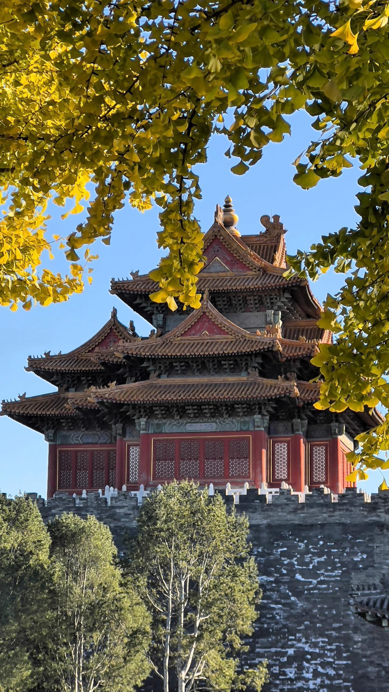 【原创】秋拍故宫角楼：楼阁耸翠微，秋色入画来。